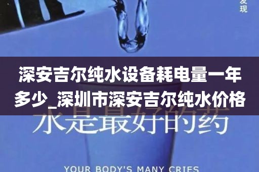 深安吉爾純水設(shè)備耗電量一年多少_深圳市深安吉爾純水價格
