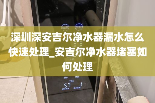 深圳深安吉爾凈水器漏水怎么快速處理_安吉爾凈水器堵塞如何處理