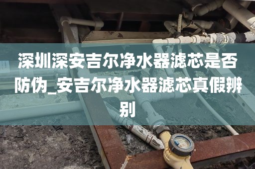 深圳深安吉爾凈水器濾芯是否防偽_安吉爾凈水器濾芯真假辨別