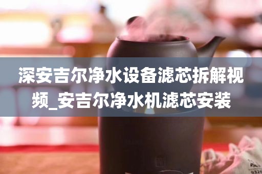 深安吉爾凈水設(shè)備濾芯拆解視頻_安吉爾凈水機(jī)濾芯安裝
