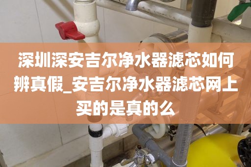 深圳深安吉爾凈水器濾芯如何辨真假_安吉爾凈水器濾芯網(wǎng)上買的是真的么