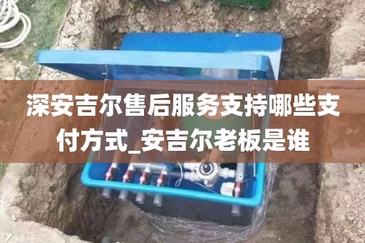深安吉爾售后服務支持哪些支付方式_安吉爾老板是誰